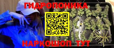 мяу мяу мука Нальчик