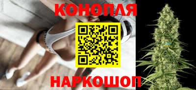 мяу мяу мука Нальчик